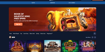 Bison nettsted forhåndsvisning