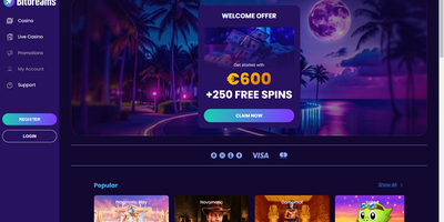 Bitdreams sitevoorbeeld