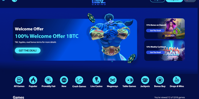 Blizz webbplatsförhandsvisning