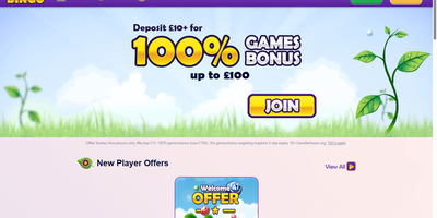 معاينة Butterfly Bingo للموقع