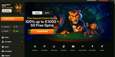 معاينة Cashwin للموقع