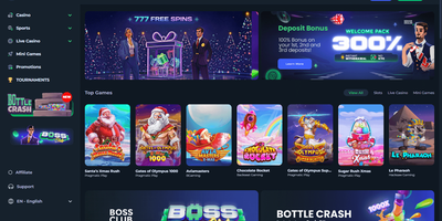 معاينة CasinOK للموقع