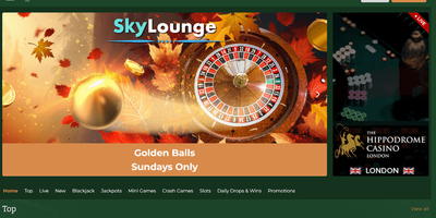 معاينة Dublinbet للموقع