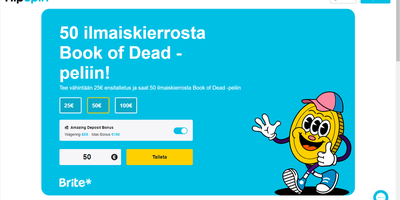 HipSpin nettsted forhåndsvisning