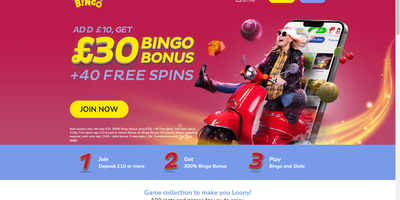 Loony Bingo predogled spletnega mesta