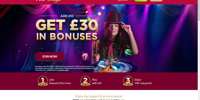 Polo Bingo predogled spletnega mesta