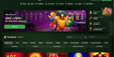 معاينة RioBet للموقع