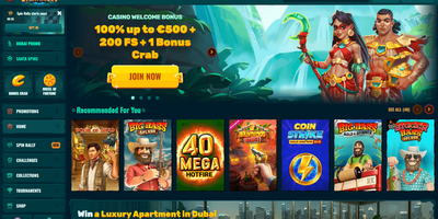 Spinanga websted forhåndsvisning