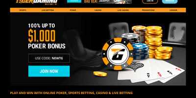 TigerGaming websted forhåndsvisning