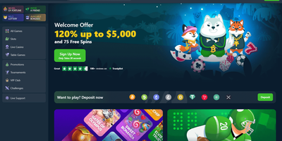 Wild.io websted forhåndsvisning