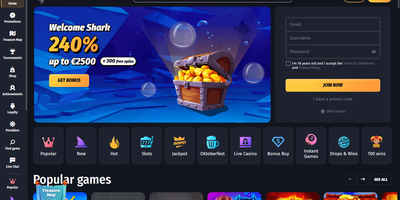 معاينة Winshark للموقع